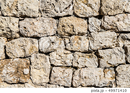 琉球石灰岩の石積みの壁面 琉球石灰岩の石積みの壁面 49971410