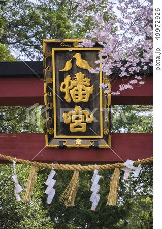 大崎八幡宮北参道005 49972926