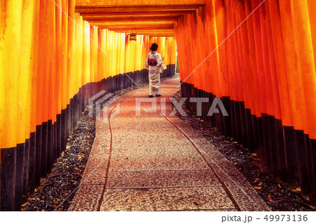 Traveler in Fushimi Inari Shrine, Kyoto, Japan Traveler in Fushimi Inari Shrine, Kyoto, Japan 49973136