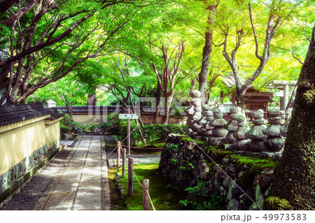 Peaceful Japanese public garden in Japan. Peaceful Japanese public garden in Japan. 49973583
