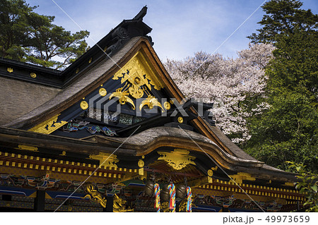 大崎八幡宮本殿002 大崎八幡宮本殿002 49973659