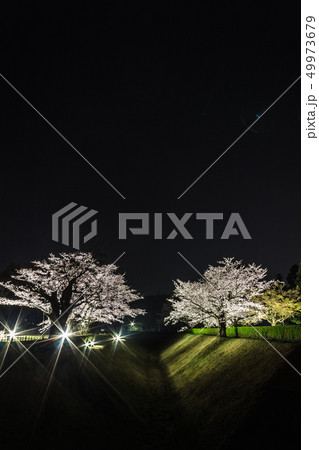春の佐倉城跡の角馬出の風景 49973679