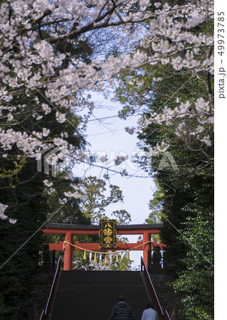 大崎八幡宮石段006 49973785