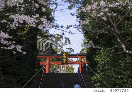 大崎八幡宮石段007 大崎八幡宮石段007 49973786