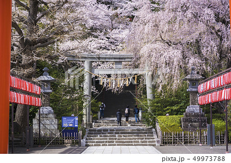 大崎八幡宮石段009 49973788