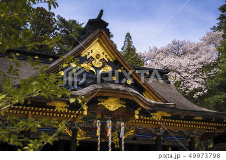 大崎八幡宮本殿008 49973798
