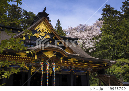 大崎八幡宮本殿009 49973799