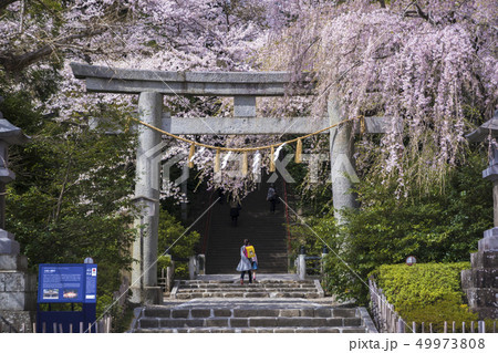 大崎八幡宮石段011 49973808