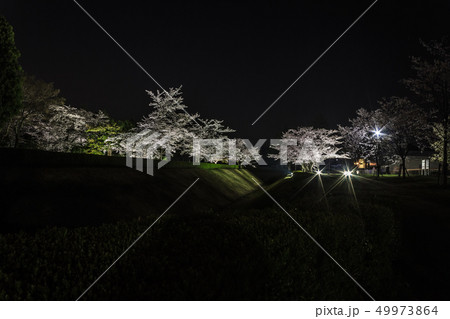 春の佐倉城跡の角馬出の風景 49973864