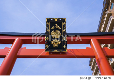 大崎八幡宮の鳥居008 大崎八幡宮の鳥居008 49973876