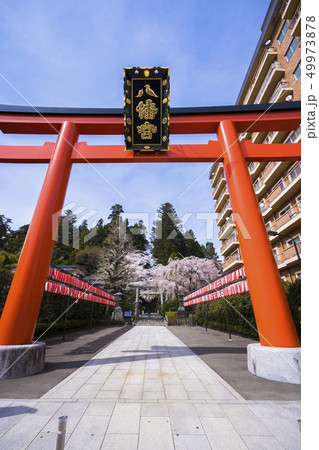大崎八幡宮の鳥居001 大崎八幡宮の鳥居001 49973878