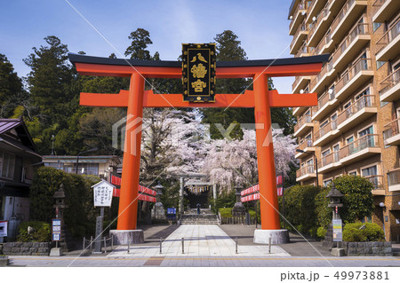 大崎八幡宮の鳥居004 49973881