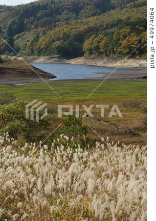 鳥取 四季の散歩 秋 芦津渓谷 鳥取 四季の散歩 秋 芦津渓谷 49974064