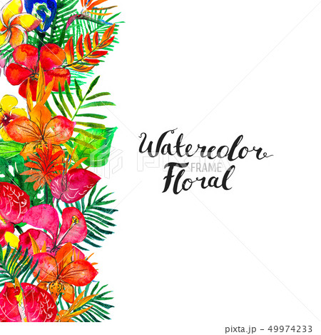 Watercolor Background with tropical plants and flowers 49974233