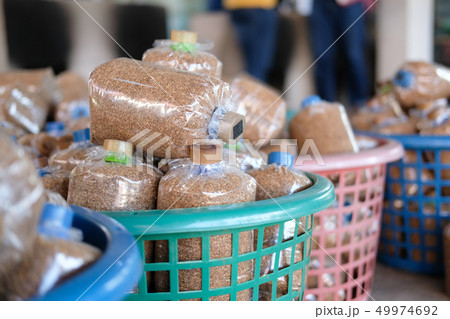 artificial substrate in bag for growing mushroom in farm 49974692
