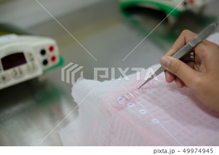 measuring rice grain seed length in lab measuring rice grain seed length in lab 49974945