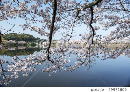 公園 49975606