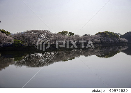 公園 49975629