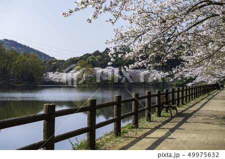公園 49975632