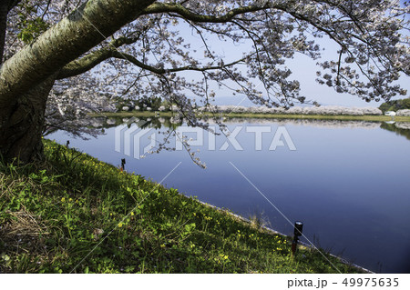 公園 49975635