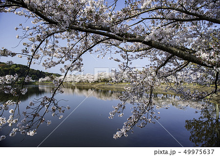 公園 49975637