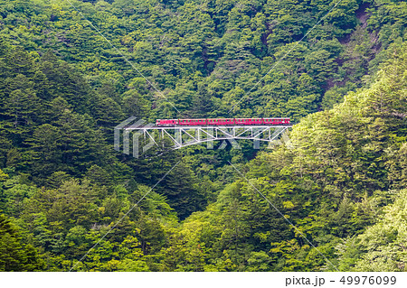 （静岡県）大井川鐵道　関の沢橋梁を渡る列車 49976099