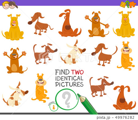find two identical dogs game for children 49976282