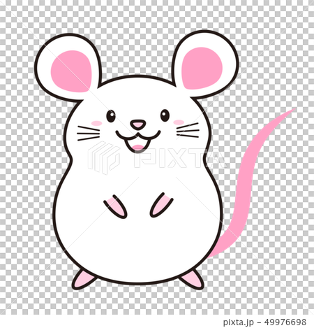 ねずみ Mouseのイラスト素材 49976698 Pixta