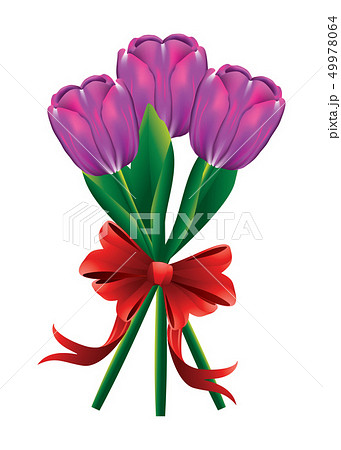 Tulip bouquet with red bow 49978064