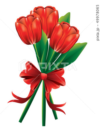 Tulip bouquet with red bow 49978065