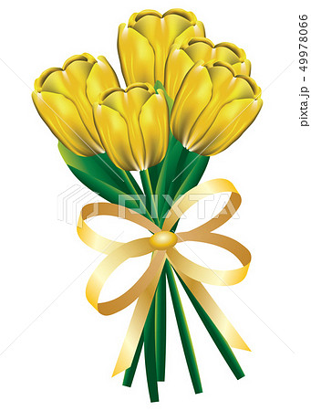 Tulip bouquet with bow 49978066