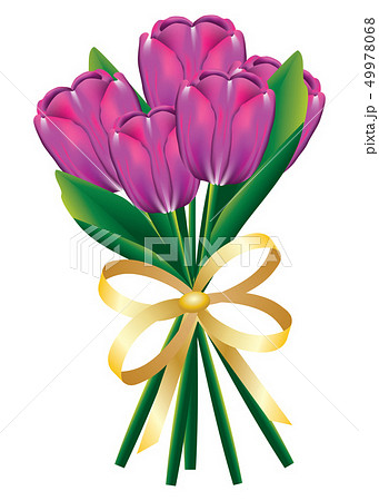 Tulip bouquet with bow 49978068