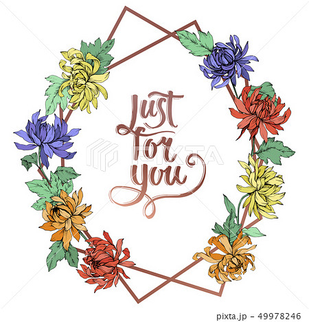 Vector Chrysanthemum floral botanical flowers. Engraved ink art. Frame border crystal ornament 49978246