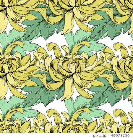 Vector Chrysanthemum floral botanical flowers. Engraved ink art. Seamless background pattern. Vector Chrysanthemum floral botanical flowers. Engraved ink art. Seamless background pattern. 49978250