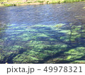 安曇野わさび農園 49978321