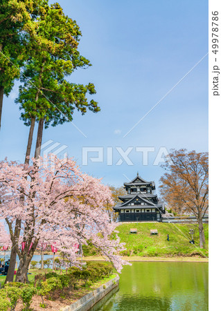 日本の春 新潟県上越市 高田城三重櫓と桜並木 日本の春 新潟県上越市 高田城三重櫓と桜並木 49978786