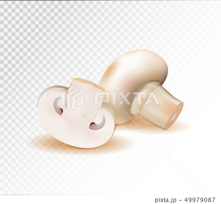 champignon mushrooms isolated on white background. Quality realistic vector, 3d 49979087