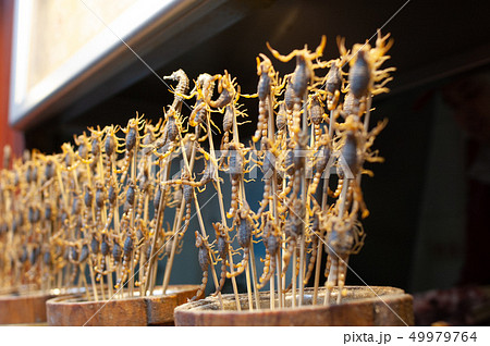 調理前のサソリの串揚げ　北京の屋台料理 49979764