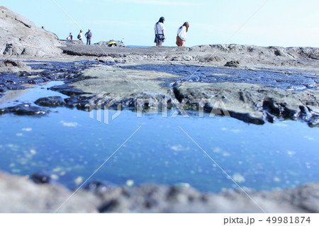 江ノ島の磯めぐり 49981874