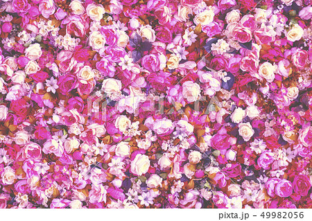 Peonies Flowers Background. Colorful background. Many flowers. 49982056
