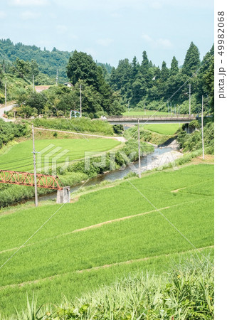 夏の田舎風景 夏の田舎風景 49982068