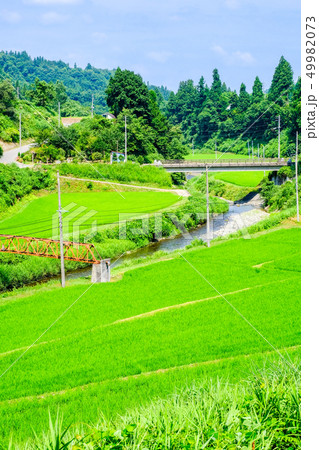 夏の田舎風景 49982073