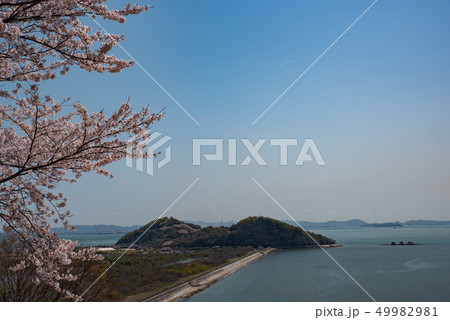 青佐山台場跡~春~ 青佐山台場跡~春~ 49982981