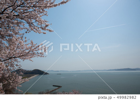 青佐山台場跡~春~ 青佐山台場跡~春~ 49982982