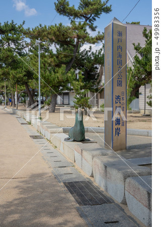 渋川海岸　 49983356