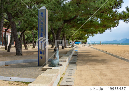 渋川海岸 ~春~ 渋川海岸 ~春~ 49983487