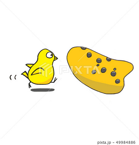 オカリナとひよこ 49984886