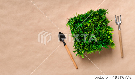Spring transplantation. Flowerbox and gardening tools, copy space Spring transplantation. Flowerbox and gardening tools, copy space 49986776