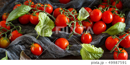 Cherry tomatoes and basil 49987591