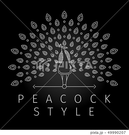 Thin Line Peacock Logo Stock Illustration